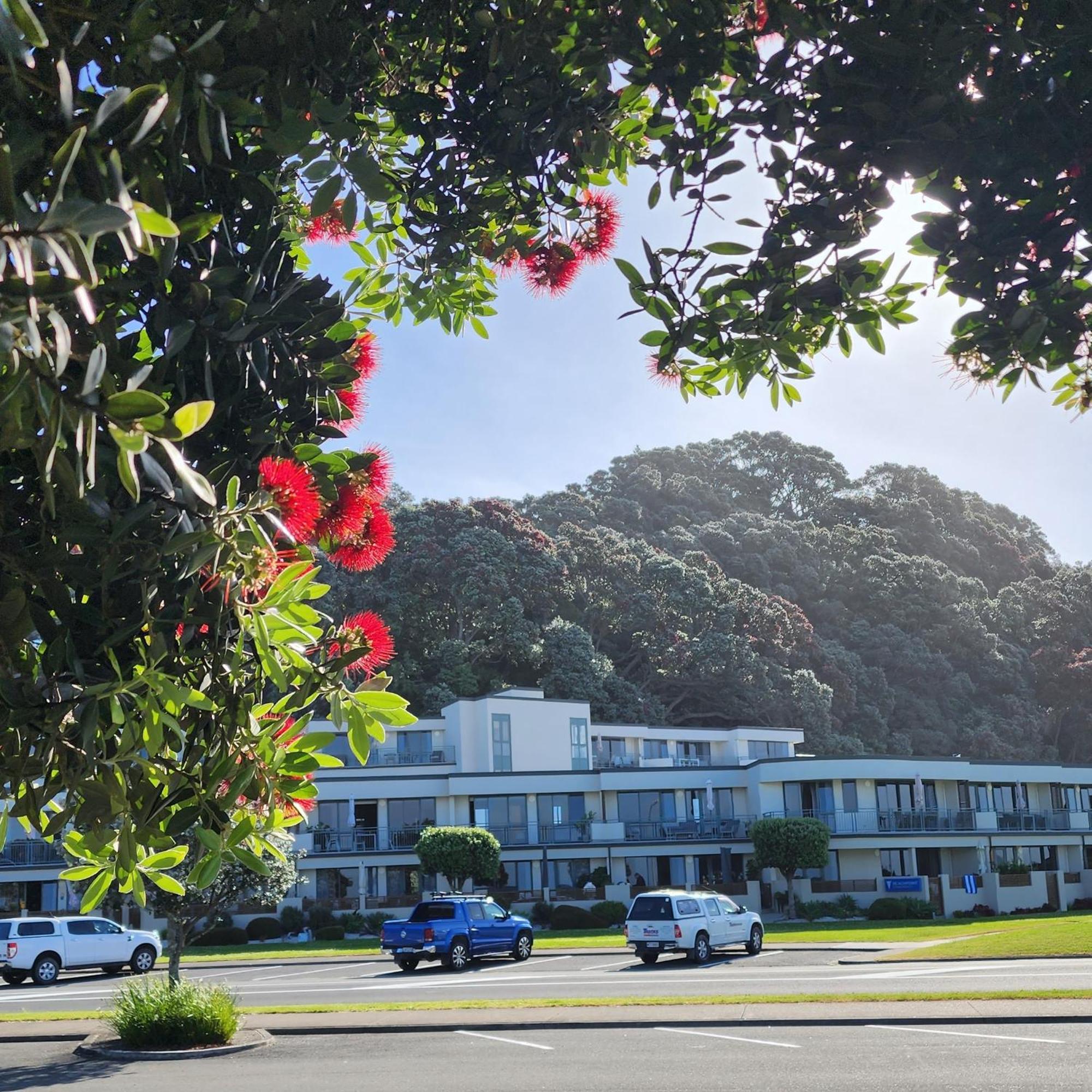 Aparthotel Beachpoint